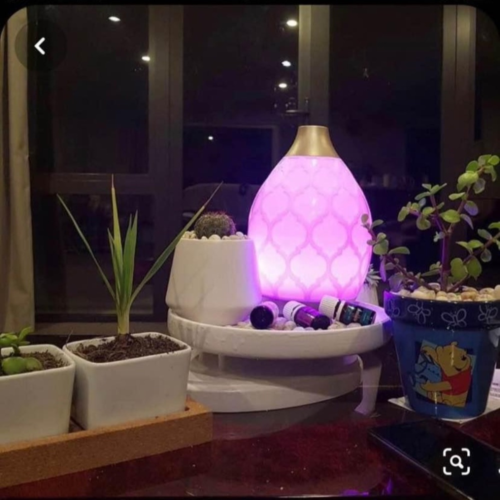 Young Living Desert Mist Diffuser